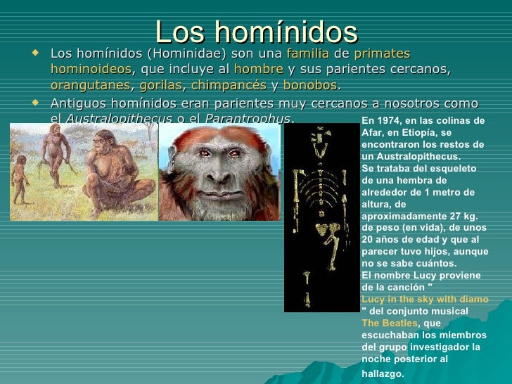 La evolución del hombre