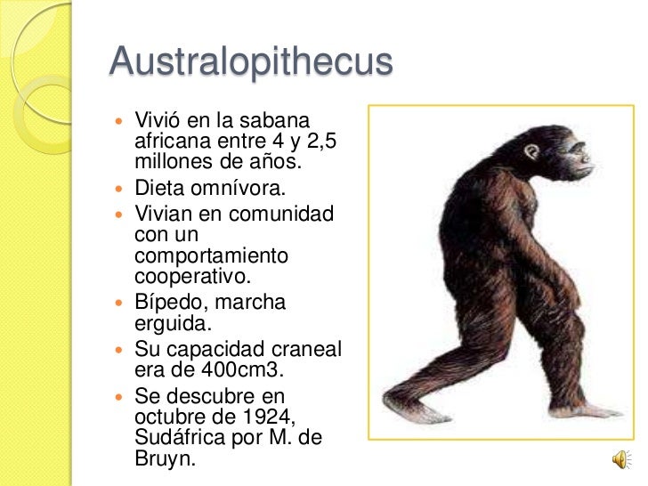 Evolucion Humana.