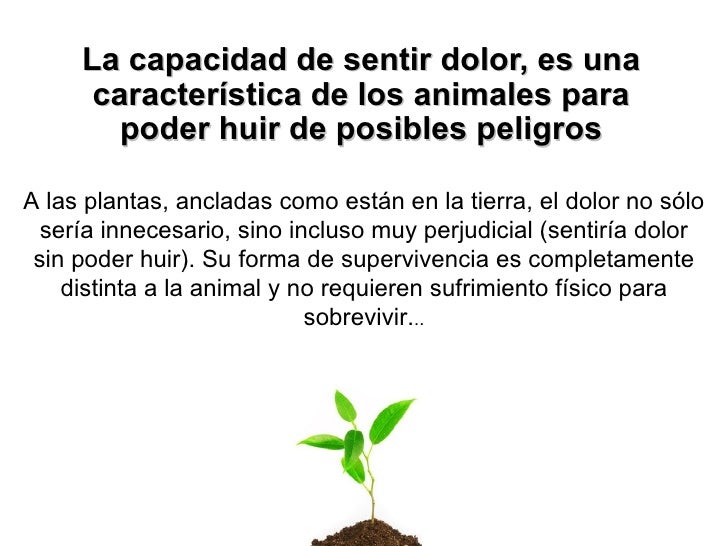 los sentimientos de las plantas
