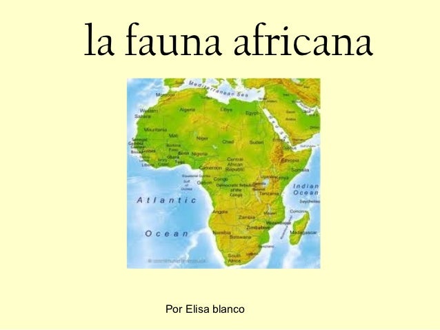 FLORA FAUNA AFRICA flora fauna africa: