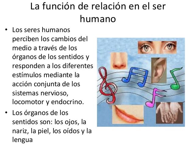 Resultado de imagen para imagenes relacion de los humanos