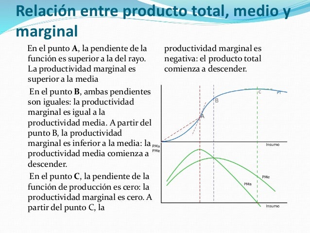La funcion de producion a corto plazo