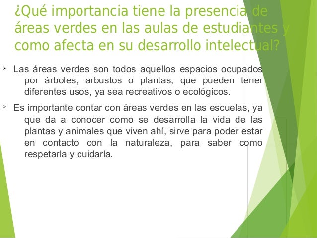 El impacto de las semillas del lino a la potencia
