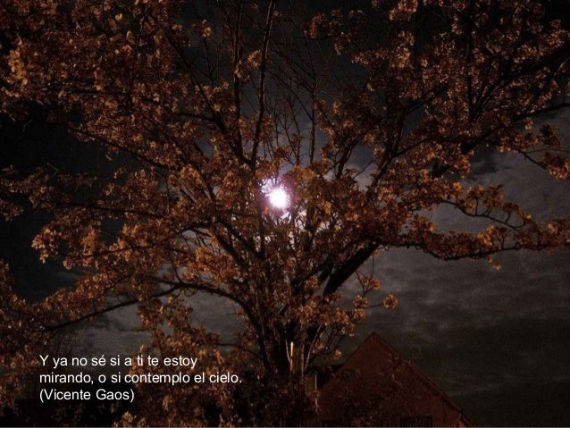 Bienvenidos al nuevo foro de apoyo a Noe #249 / 25.04.15 ~ 28.04.15 - Página 5 La-luna-41-638