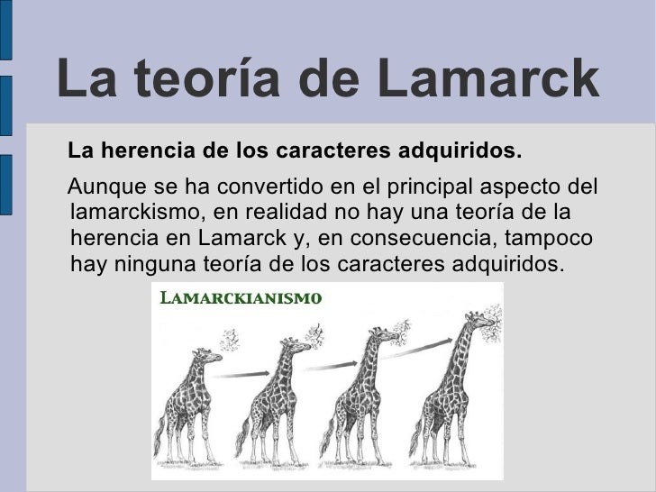 Descubre la Teoría de los Caracteres Adquiridos: ¿Cómo influyen en la evolución?_teorias Teoria de los caracteres adquiridos_teorias