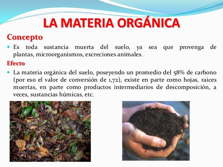la-materia-org-nica-3