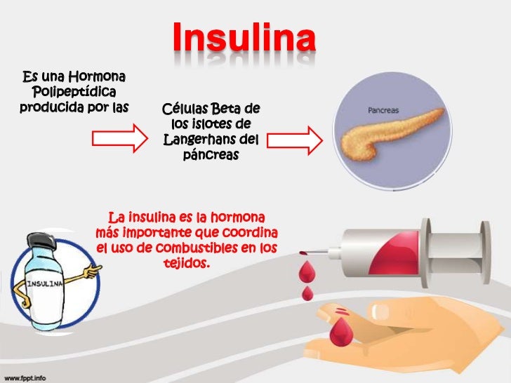 Lauraromero11blog: marzo 2015 Lauraromero11blog: marzo 2015