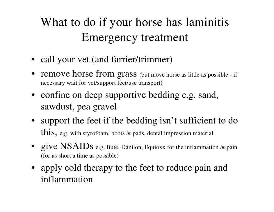 Laminitis IR PPID causes and treatment