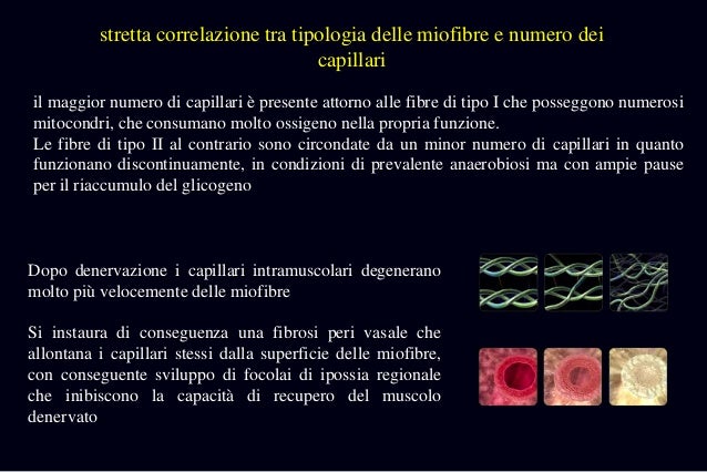 I dispositivi su aumentare un pene