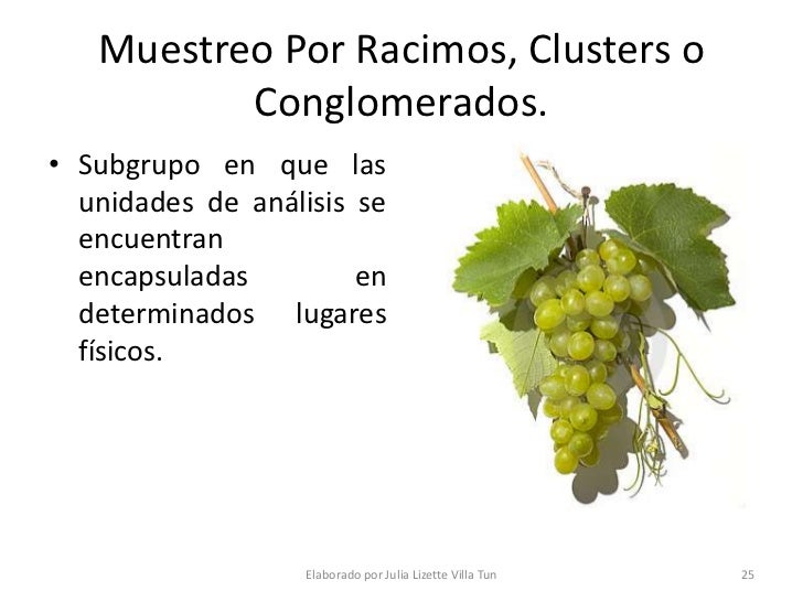 La Muestra