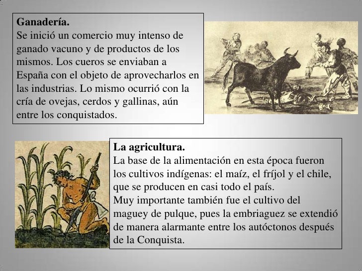 La nueva españa La nueva españa