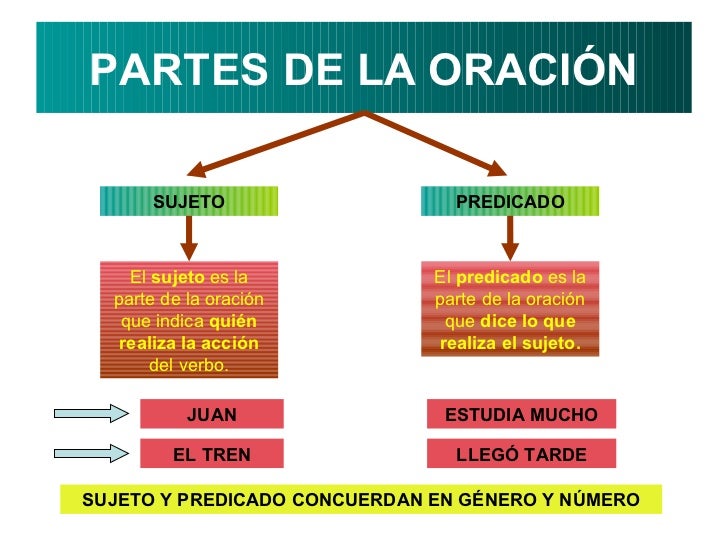 los pequegigantes de 4º a la oraciÓn sujeto y predicado