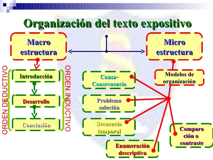La Organizaci N Del Texto Expositivo
