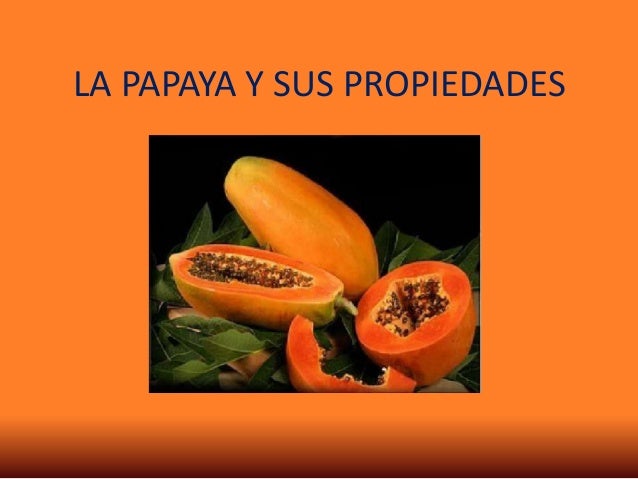 La papaya y sus propiedades La papaya y sus propiedades