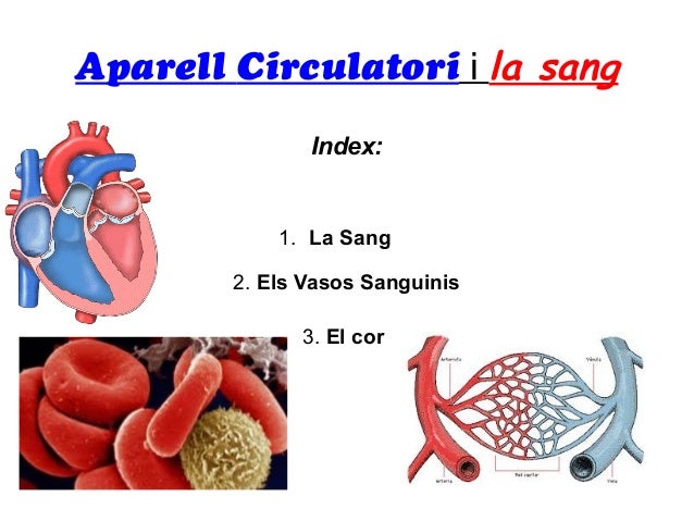 http://image.slidesharecdn.com/laparellcirculatoriilasang-121212164153-phpapp01/95/slide-1-638.jpg?cb=1355352945
