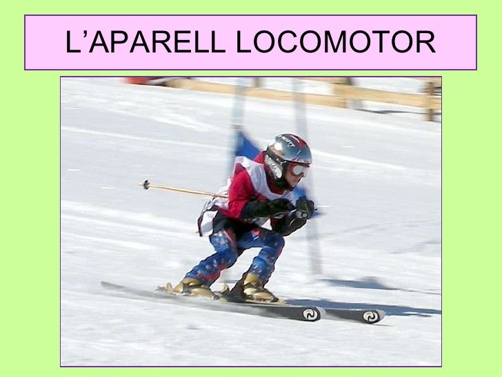 L’APARELL LOCOMOTOR