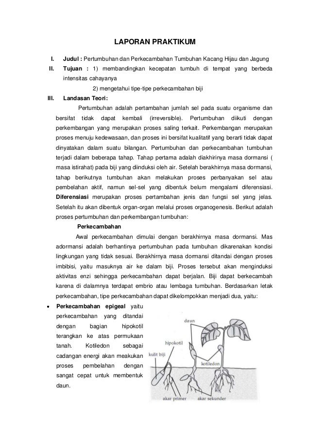 Landasan Teori Praktikum Pertumbuhan Kacang Hijau