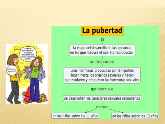 preguntas para hacerle a una mujer madura la pubertad y adolescencia preguntas para hacerle a una mujer madura la pubertad y adolescencia