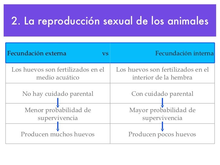 La ReproduccióN De Los Animales