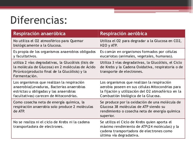 La respiración diapositiva