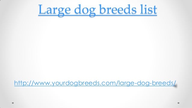 big breeds list large breeds list big breeds list large breeds list