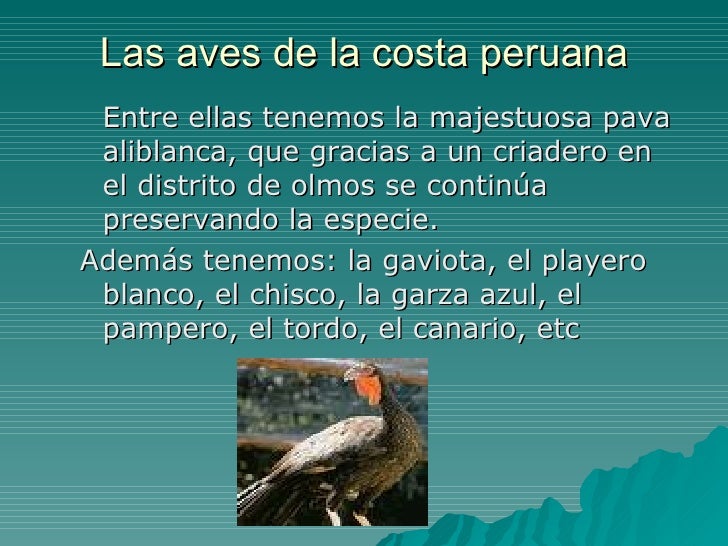 Las Aves