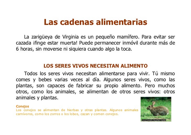 power point de cadenas y tramas alimentarias las cadenas alimentarias 1 power point de cadenas y tramas alimentarias las cadenas alimentarias 1