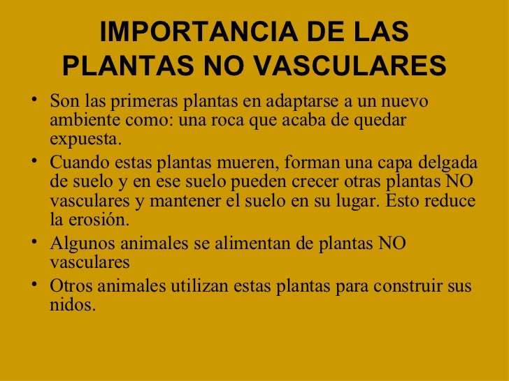 Las Plantas Las Plantas