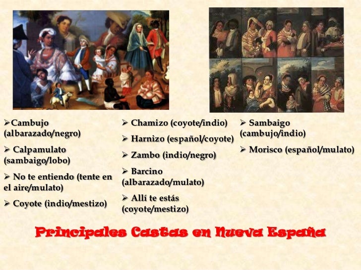 Las castas en nueva españa