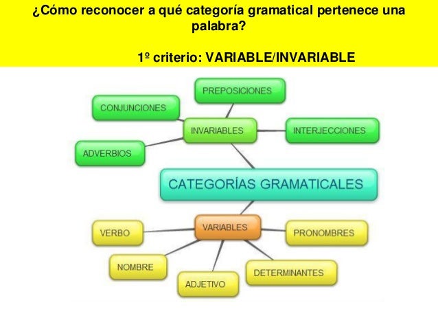 Las categorías gramaticales el verbo