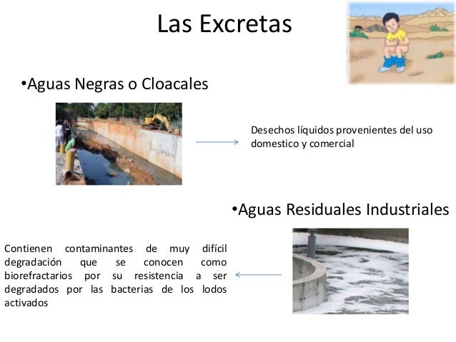 Las excretas