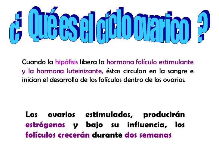 Arginina viagra femenino