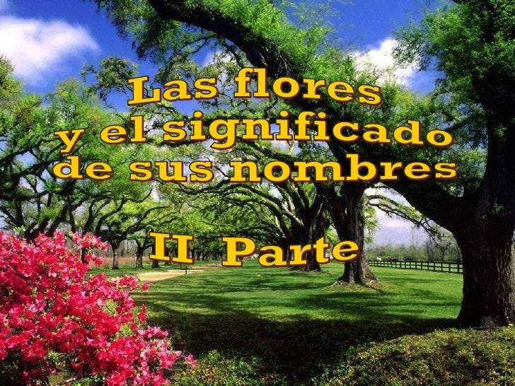 FLORES Y SUS NOMBRES flores y sus nombres: