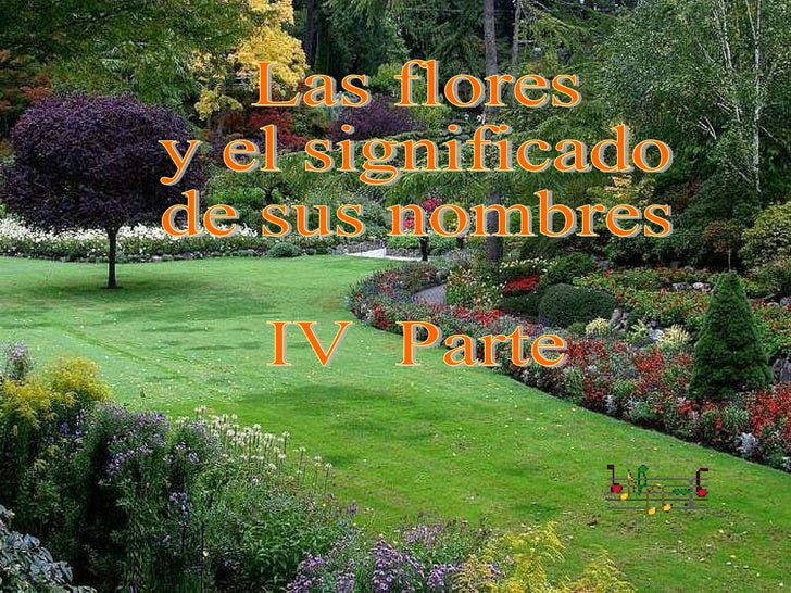 FLORES Y SUS NOMBRES flores y sus nombres:
