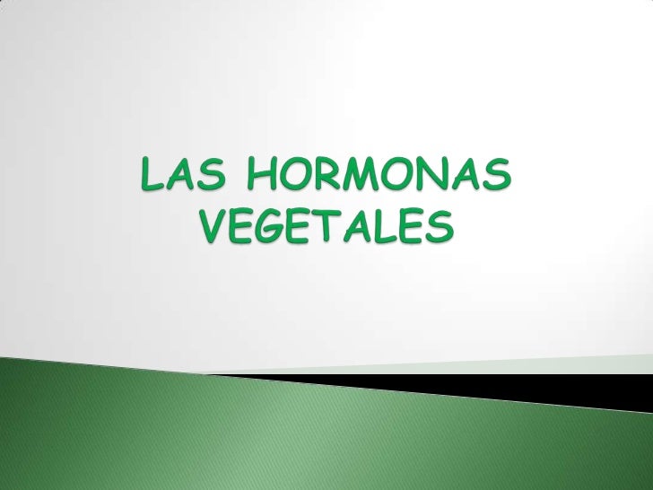 El régimen para el enfermo atopicheskim por la dermatitis