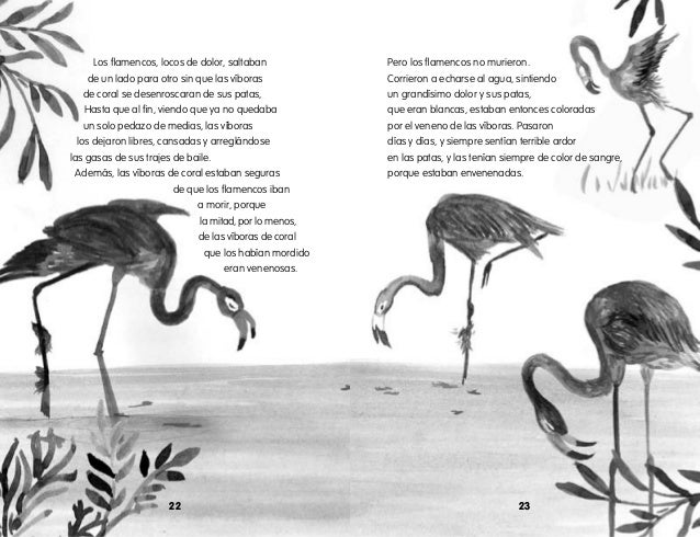 Las medias de los flamencos