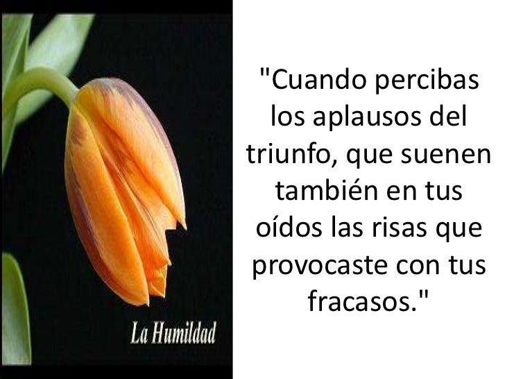 Las mejores frases sobre la honestidad Las mejores frases sobre la honestidad