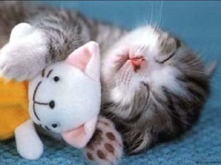 http://image.slidesharecdn.com/lasmejoresposicionesenlacama-1210705963012479-9/95/lasmejoresposicionesenlacama-5-728.jpg?cb=1210723959