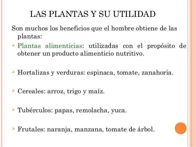 Como adelgazar a 54 kg