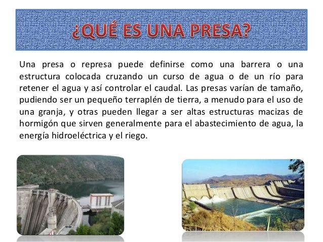 Que Estrategias Han Desarrollado Las Presas Para La Huida