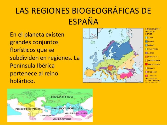 LAS REGIONES DE ESPANA las regiones de espana: