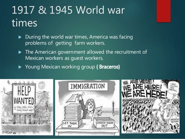Immigrant Essay