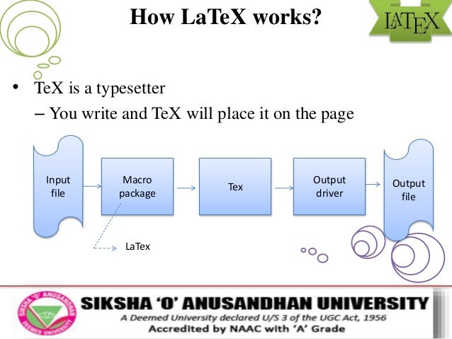 Article community service order