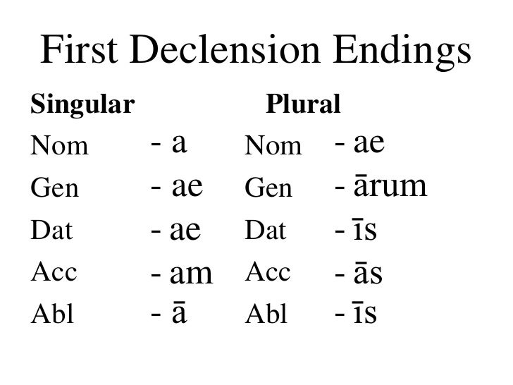 latin endings practice latin endings practice