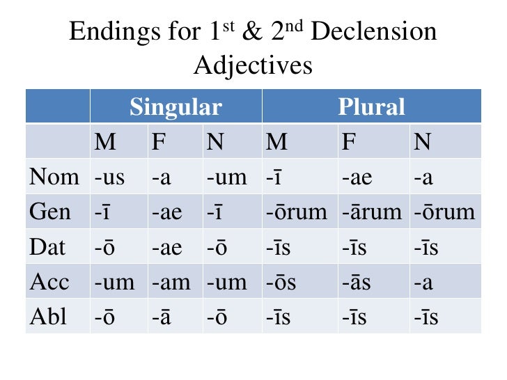 latin noun endings latin noun endings