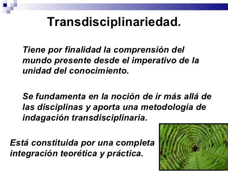 La transdisciplinariedad