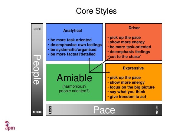 analytical driver amiable expressive analytical driver amiable expressive