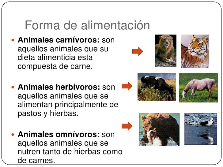 La variedad de los seres vivos