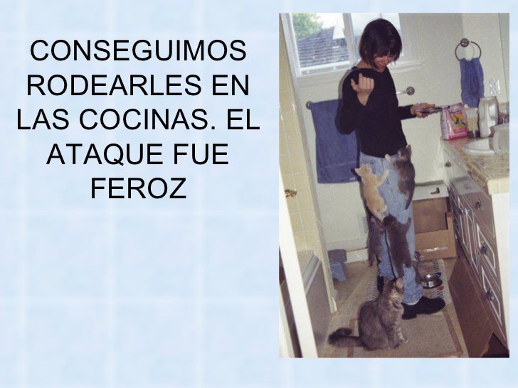 Bienvenidos al nuevo foro de apoyo a Noe #258 / 20.05.15 ~ 23.05.15 - Página 11 La-venganza-delosgatos-55-728