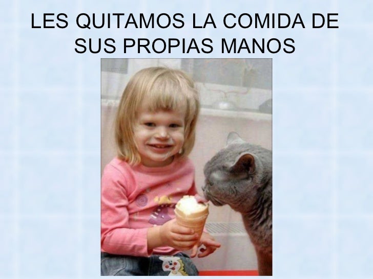 Bienvenidos al nuevo foro de apoyo a Noe #258 / 20.05.15 ~ 23.05.15 - Página 11 La-venganza-delosgatos-56-728